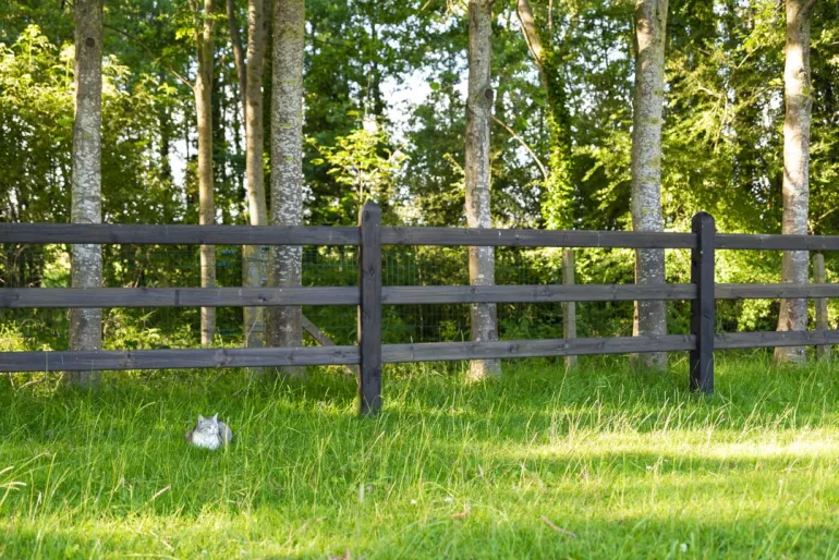 Une clôture en bois noir avec des poteaux carrés et 3 lisses sur un champ
