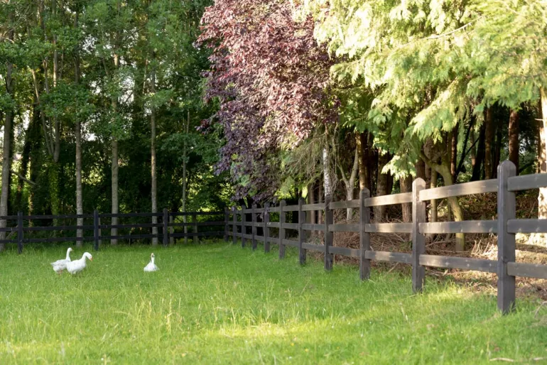 Une clôture en bois noir avec des poteaux carrés et 3 lisses entourant un champ
