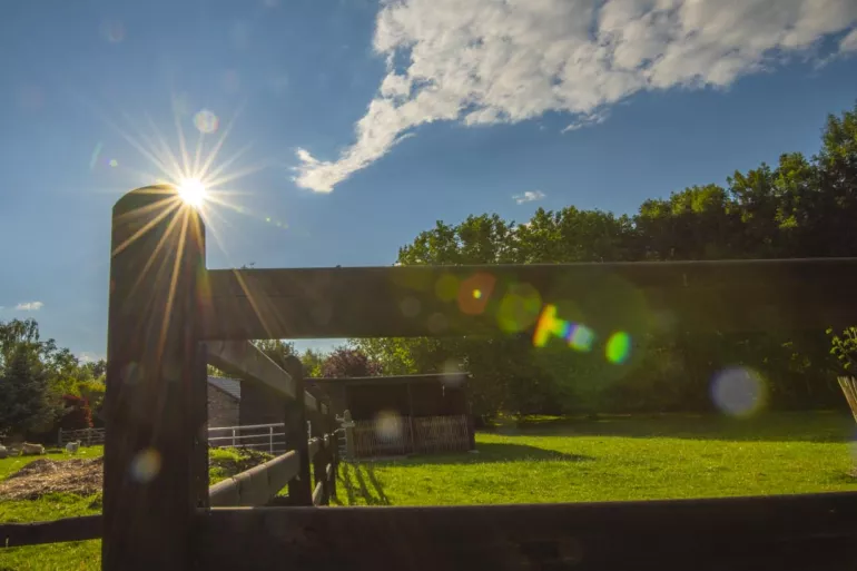 Un champ avec un abri pour chevaux et une clôture noire à poteaux carrés et 3 lisses.