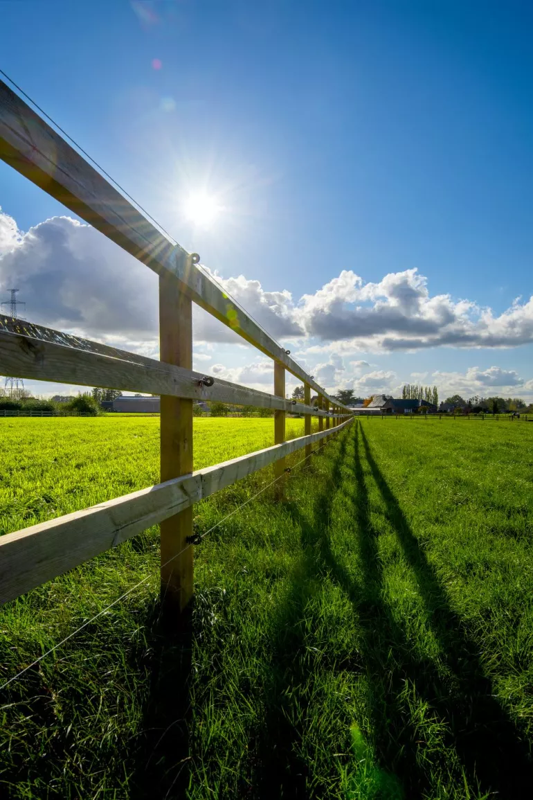 Ein Holzzaun, dessen Bretter an quadratische Pfosten geschraubt und mit elektrischen Drähten versehen sind
