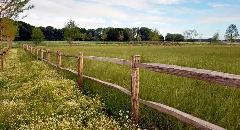 Ein gespaltener Kastanienzaun mit runden Pfosten und 2 Latten auf einem Feld