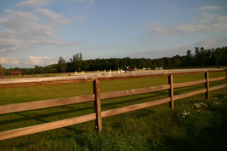 Une clôture en bois avec deux rails et un rail supérieur continu dans un champ avec des chevaux
