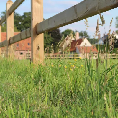 Rail en bois qui coulisse à travers les poteaux d'une clôture en bois