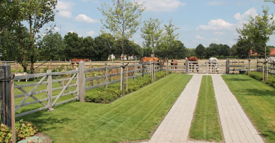 Double portail en bois attaché à une clôture en bois