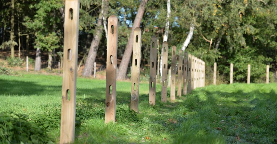 12 Types of Fences for New Zealand Homes: Pros and Cons
