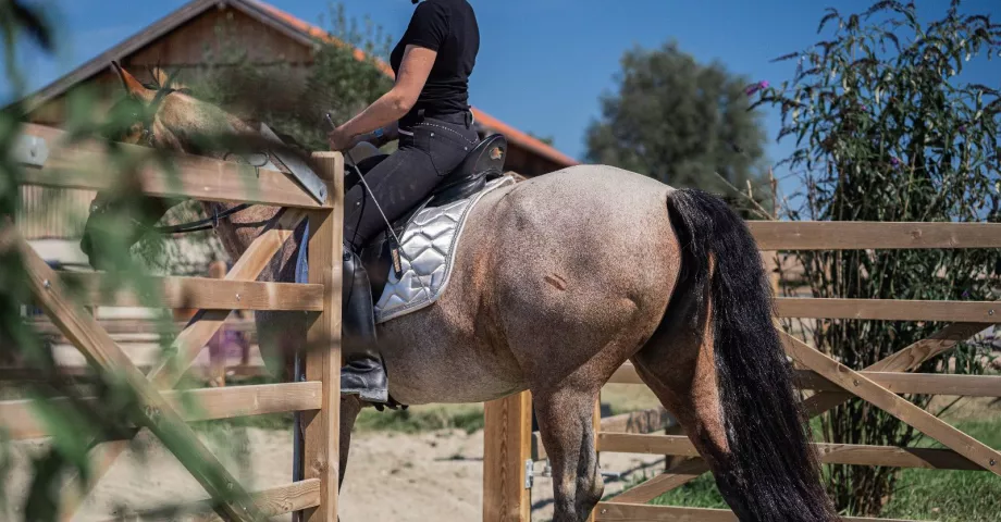 Ein Pferd und ein Reiter betreten ein Feld mit Holzzäunen und einem doppelten Holztor